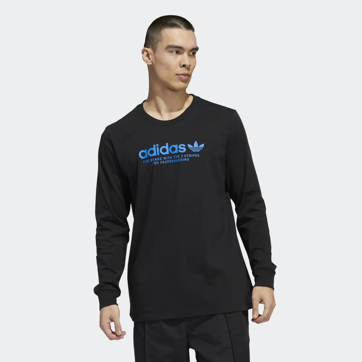 Adidas Maglia Skateboarding 4.0 Long Sleeve Logo (Neutral). 2