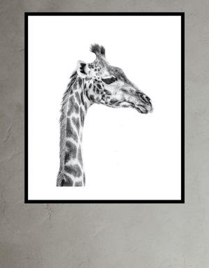 Banana Republic Portrait of a Giraffe by Marina Cano black