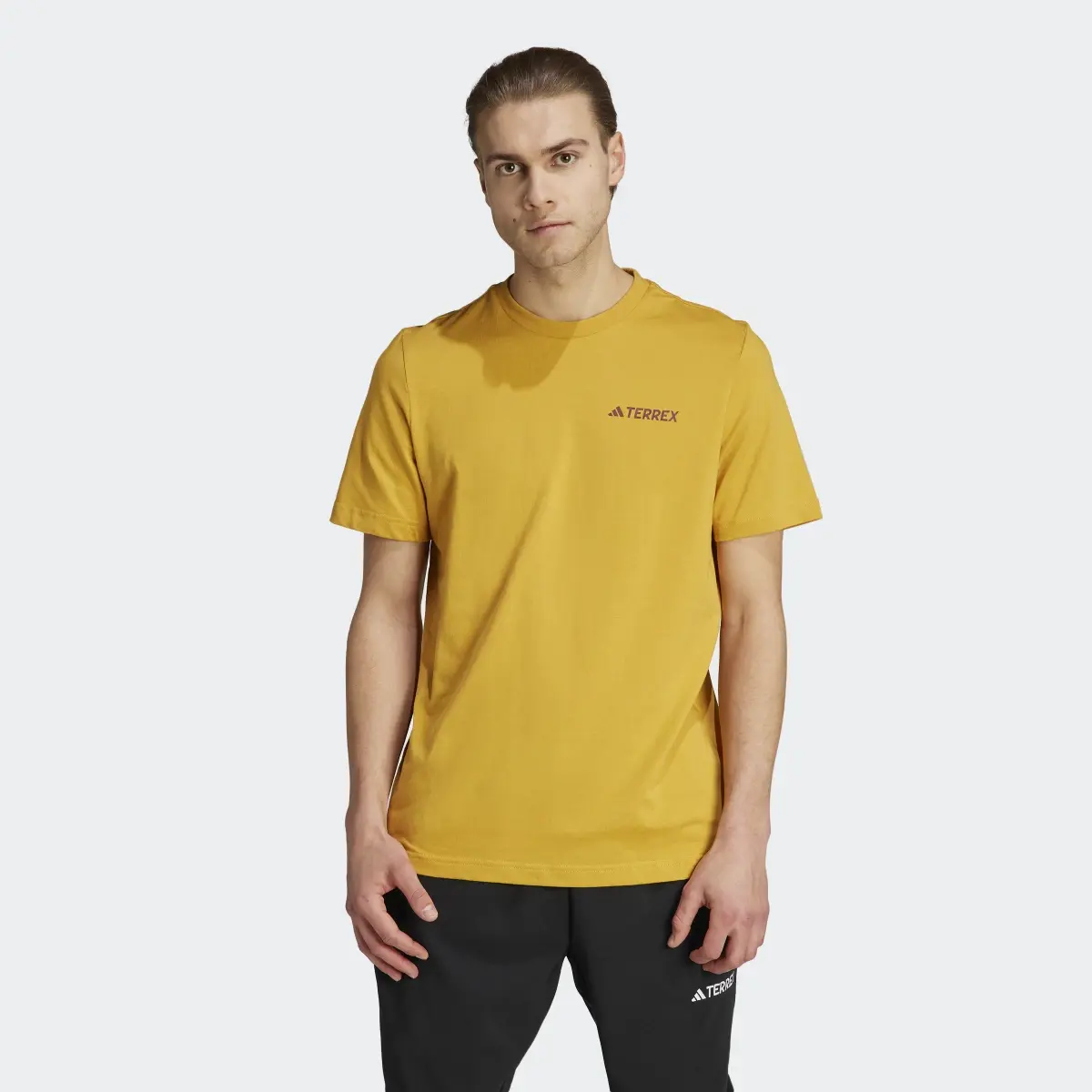 Adidas T-shirt graphique Terrex MTN 2.0. 2