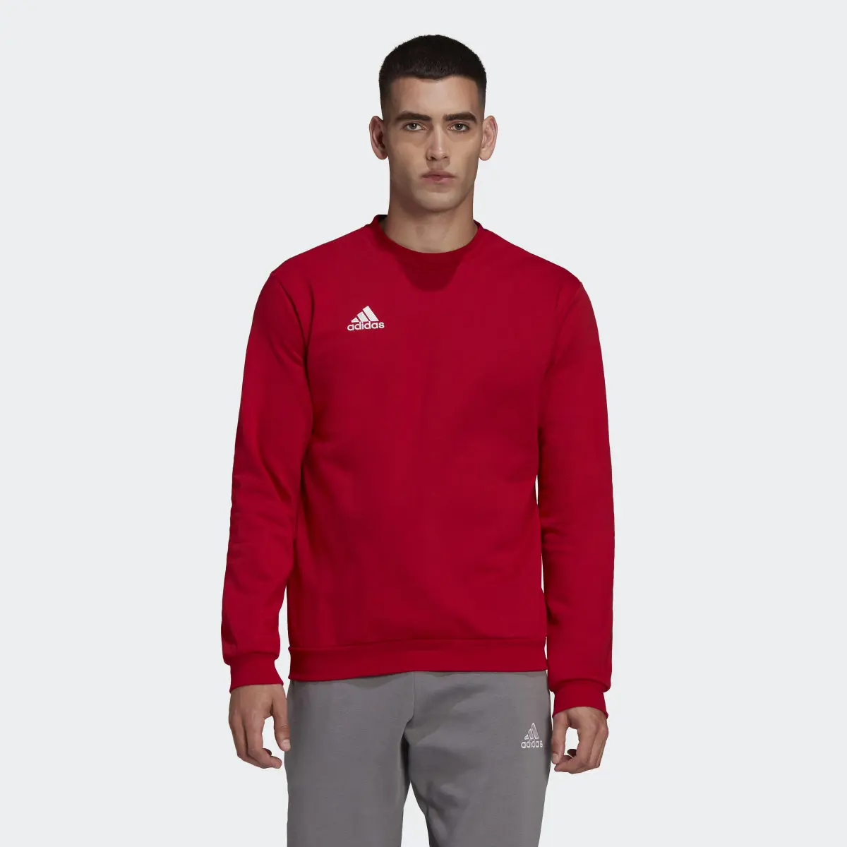 Adidas Entrada 22 Sweatshirt. 2