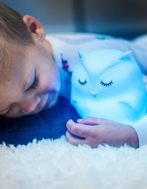 Lumipets Owl Night Light white