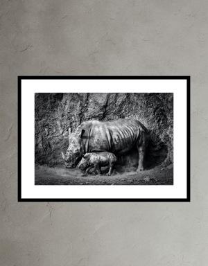 Rhino Mom and Baby by Marina Cano black