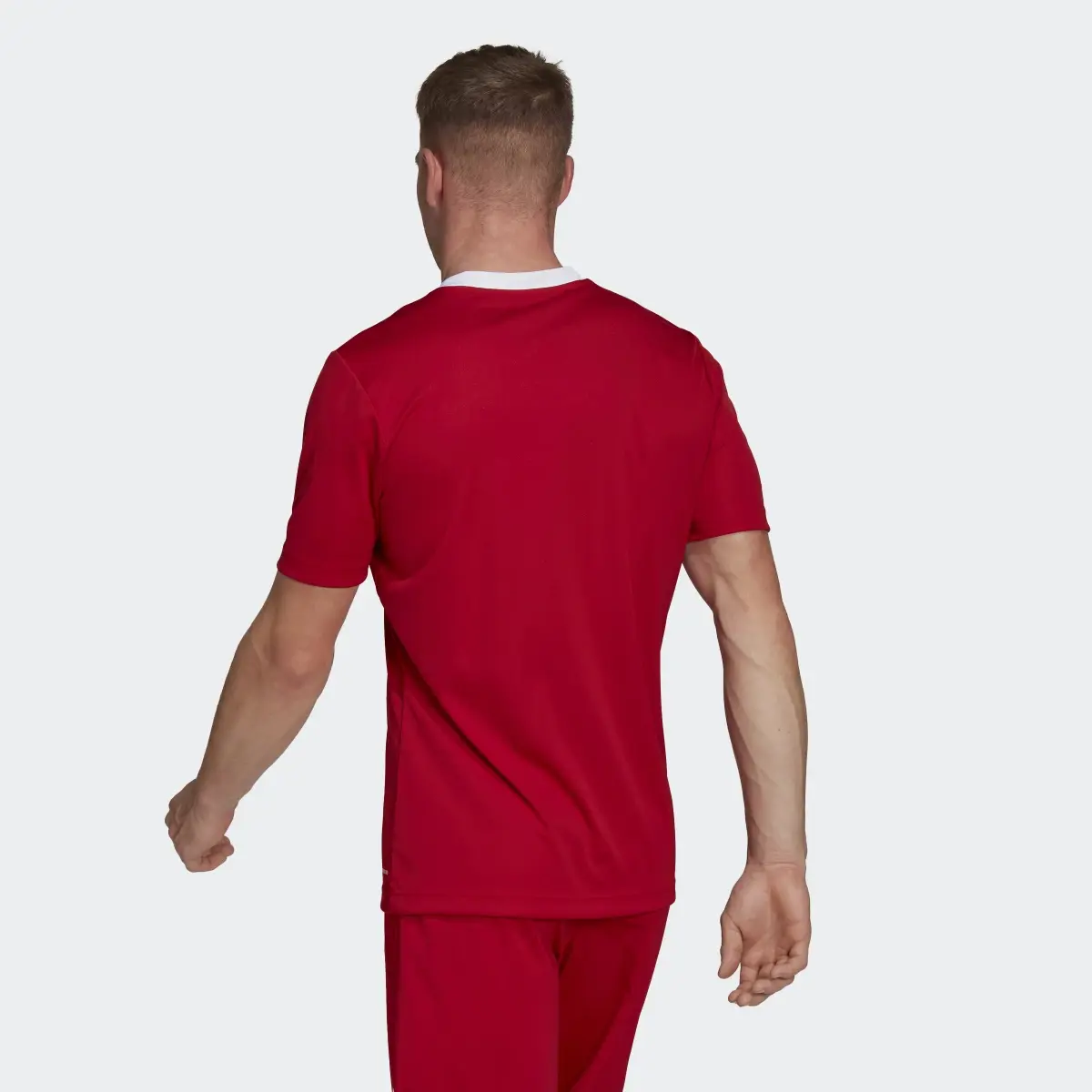 Adidas Entrada 22 Trikot. 3