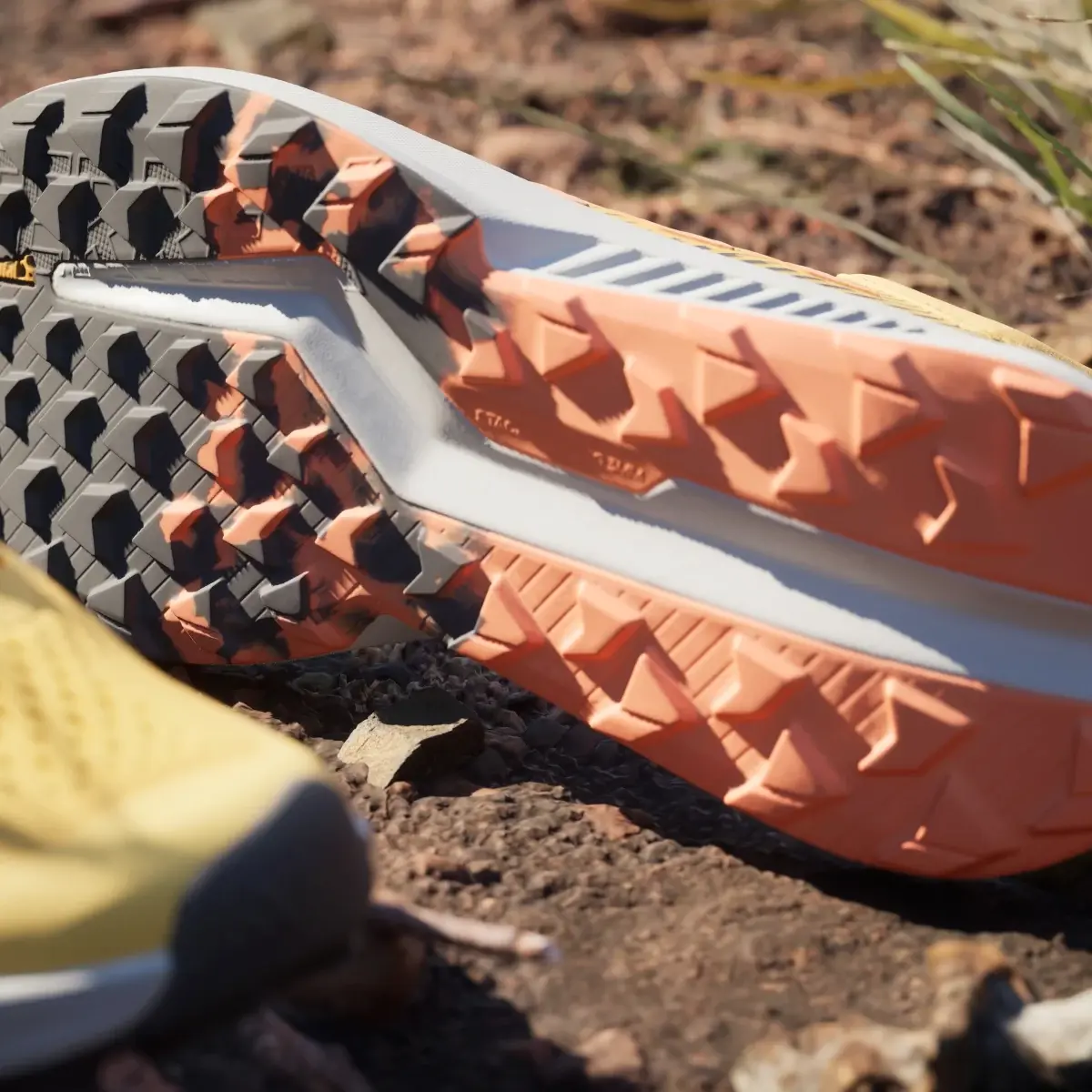 Adidas Scarpe da trail running Terrex Soulstride Flow. 2