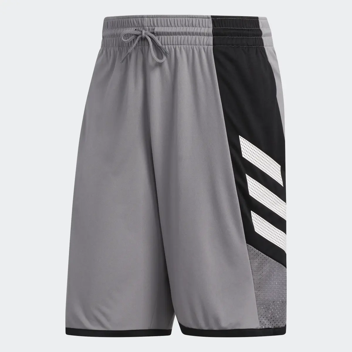 Adidas Pro Madness Shorts. 1