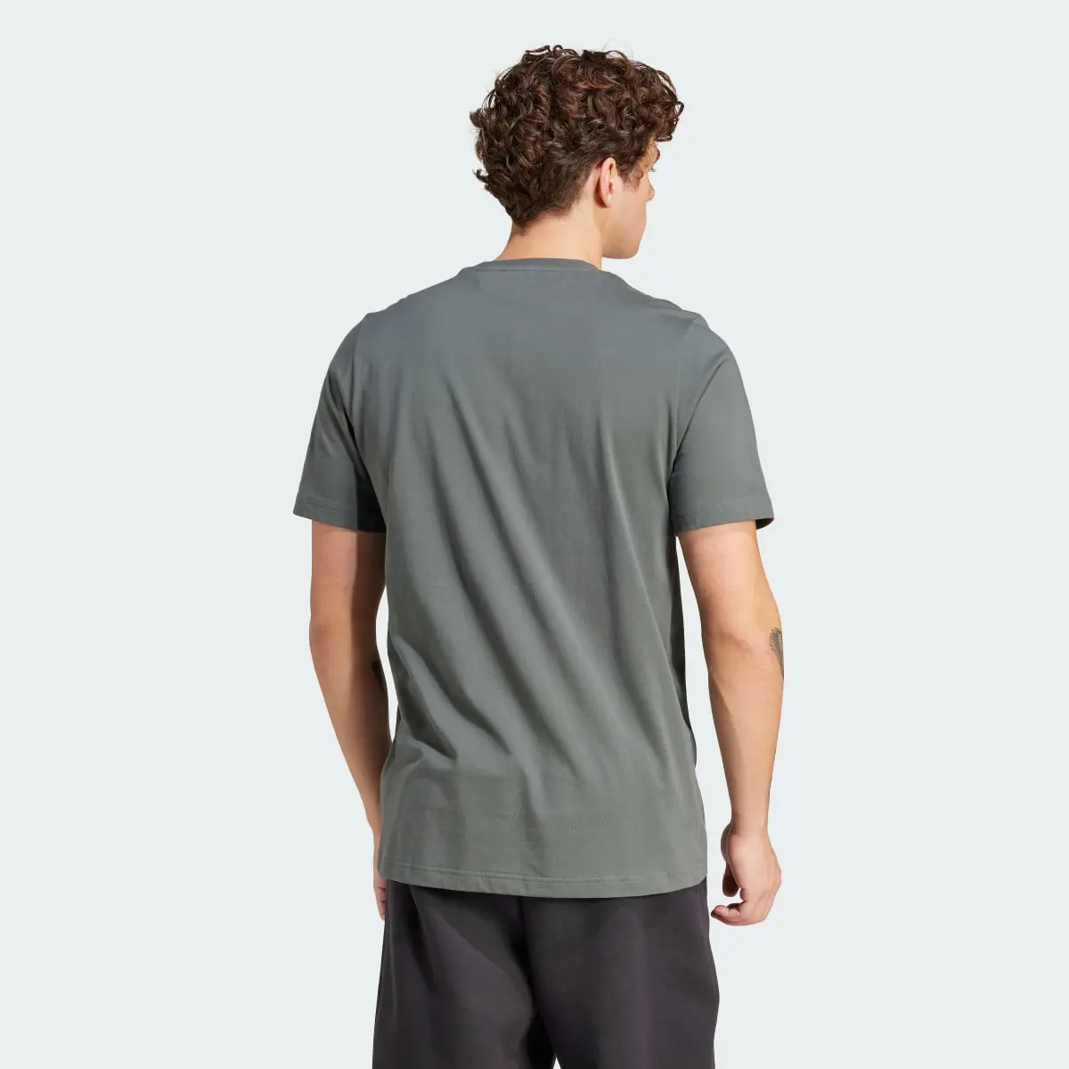 Adidas Lifting The Fog Graphic Tee Spirit of Nature. 3