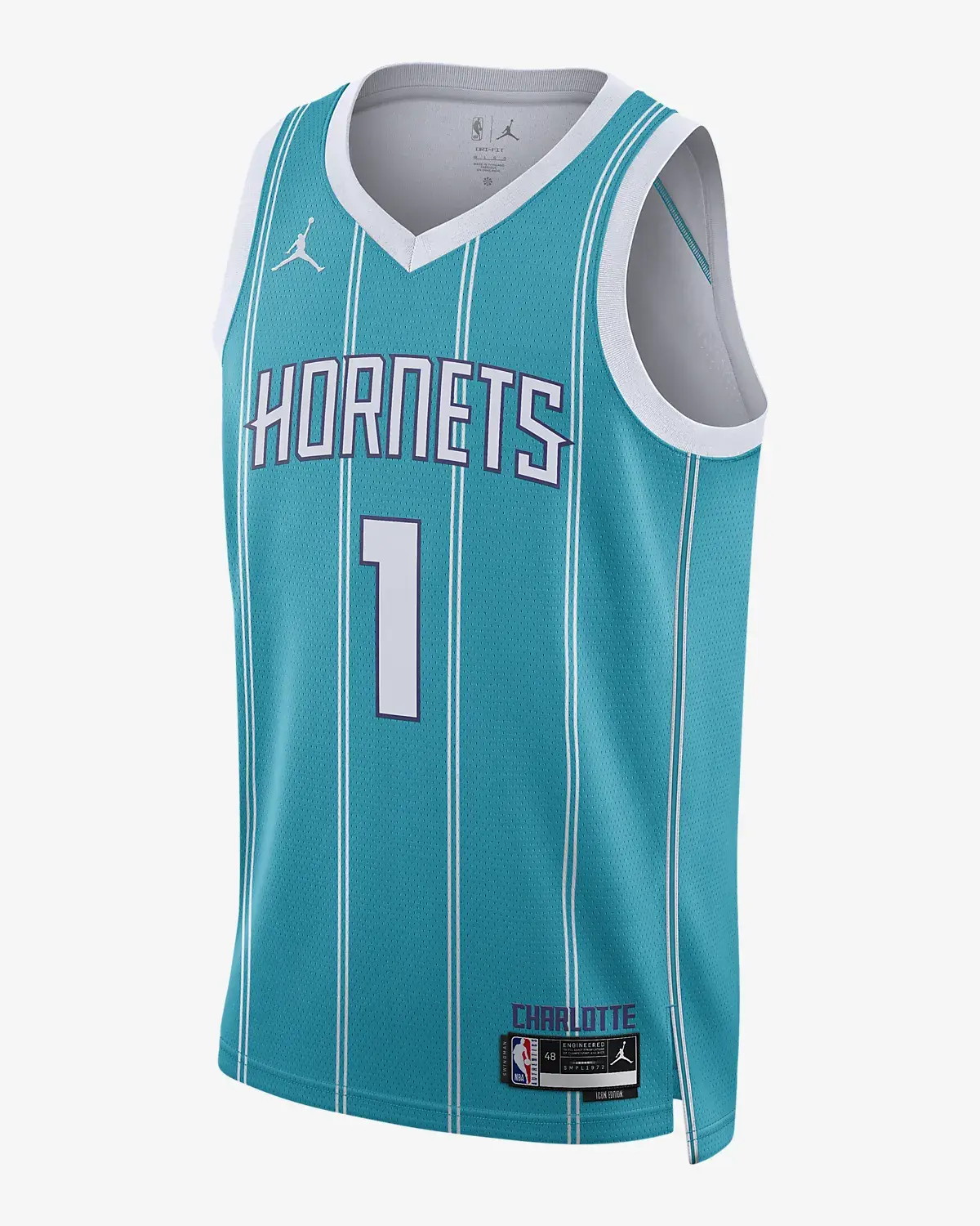 Nike Charlotte Hornets Icon Edition 2022/23. 1