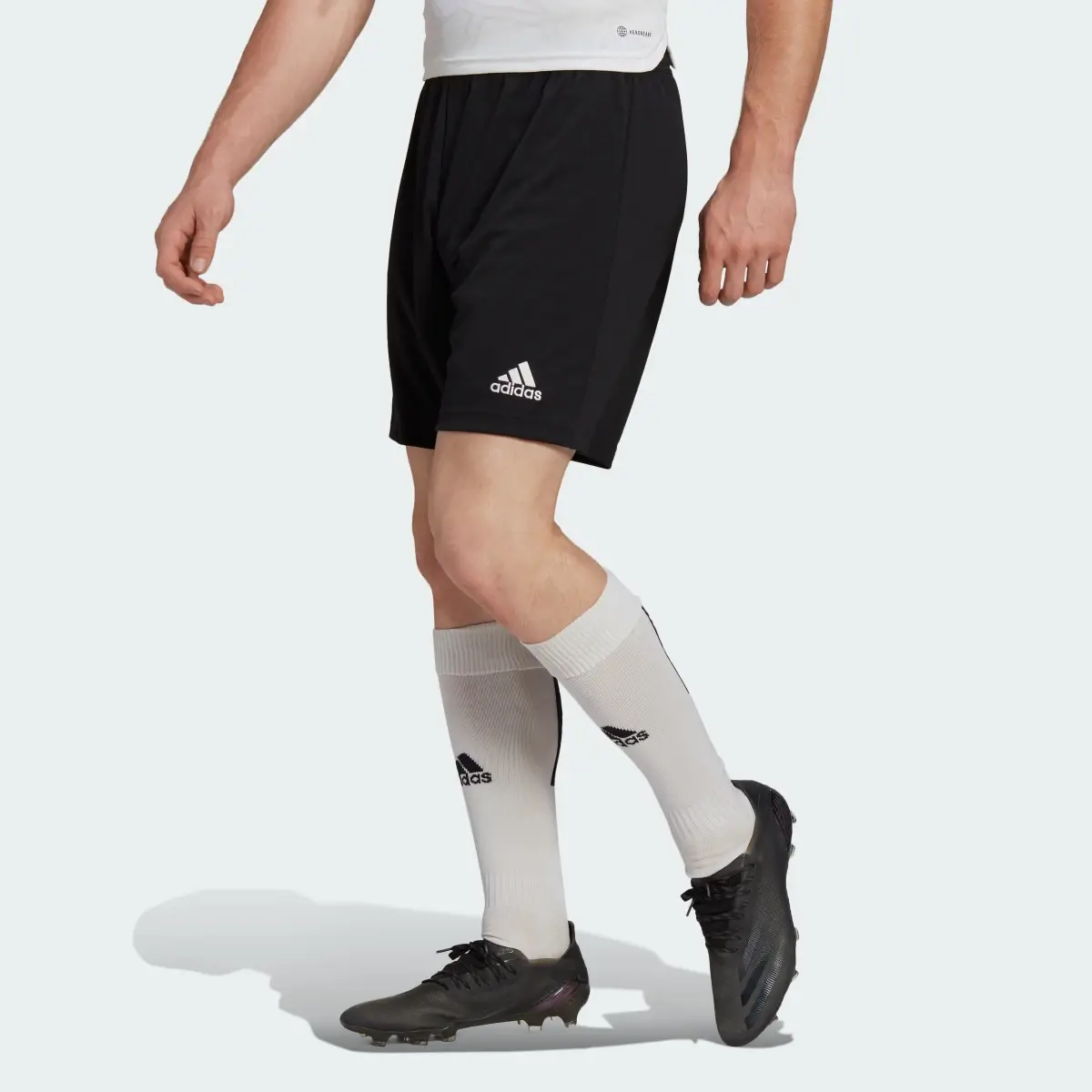 Adidas Short Entrada 22. 1