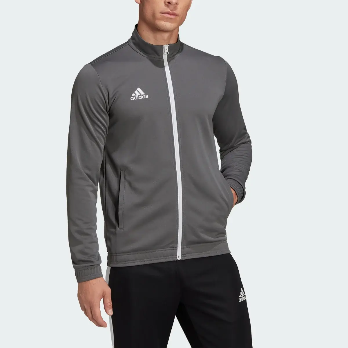 Adidas Chaqueta Entrada 22. 1