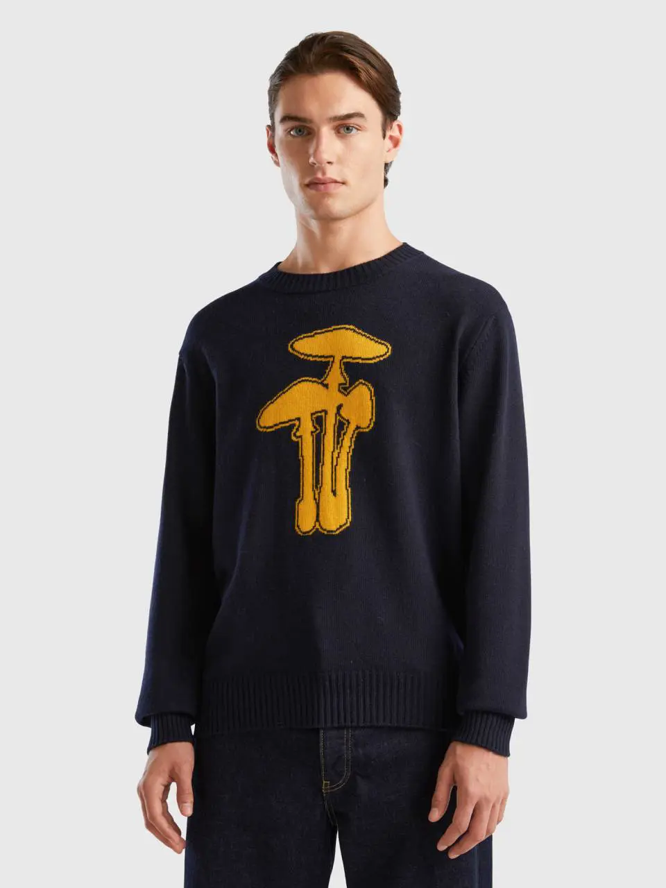 Benetton sweater with mushroom inlay. 1