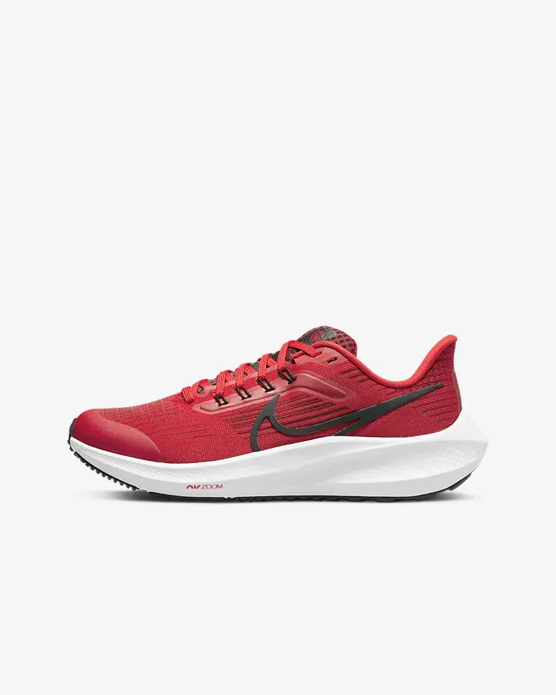 Nike Air Zoom Pegasus 39. 1