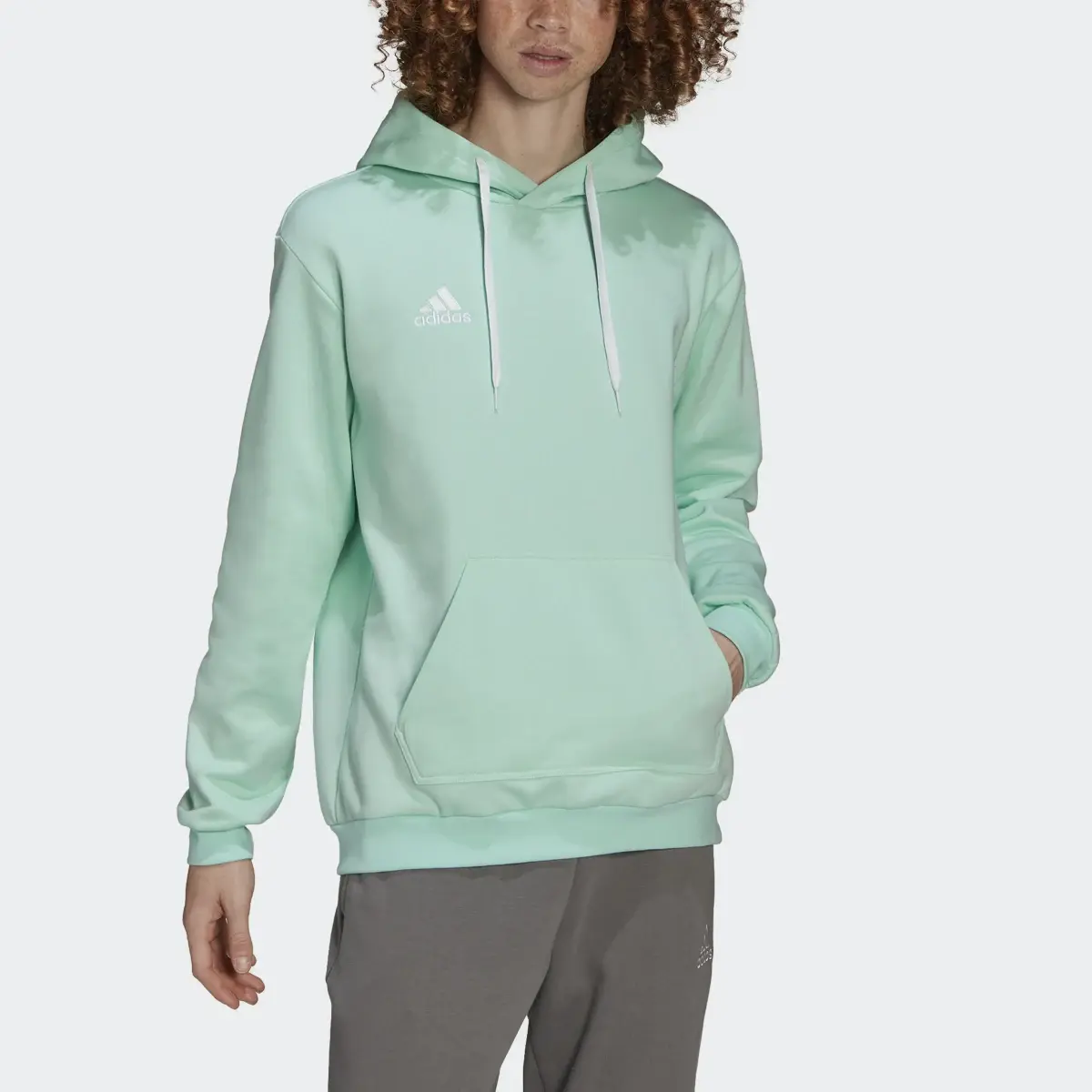 Adidas Entrada 22 Sweat Hoodie. 1