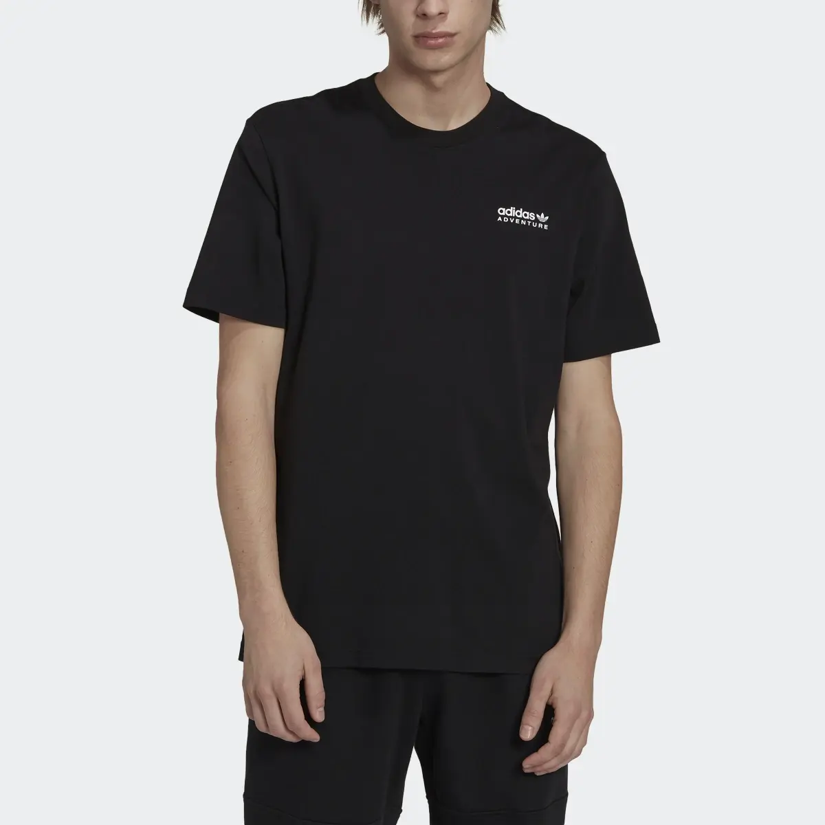 Adidas Adventure Mountain Back Tee. 1