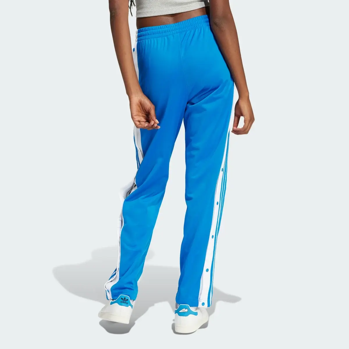 Adidas Adicolor Adibreak Pants. 2