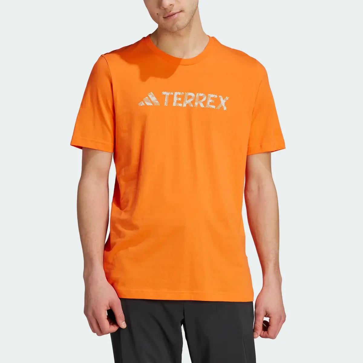 Adidas Terrex Classic Logo Tişört. 1