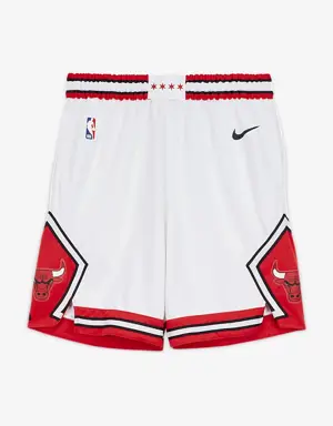 Chicago Bulls Association Edition