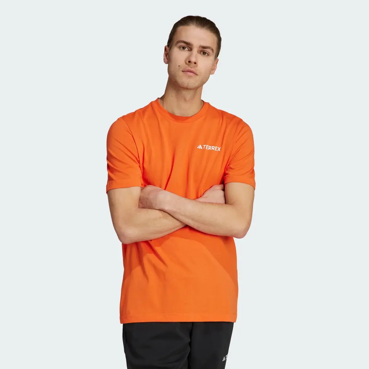 Adidas T-shirt graphique Terrex MTN 2.0. 2