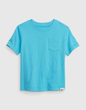 Toddler 100% Organic Cotton Mix and Match Pocket T-Shirt blue