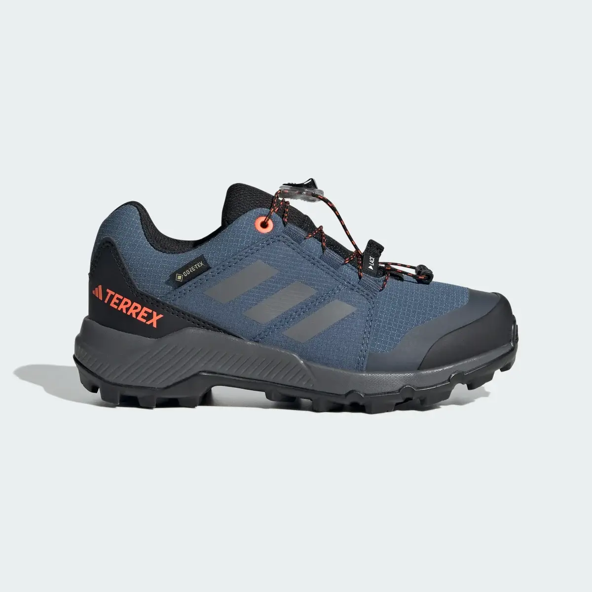 Adidas Terrex GORE-TEX Hiking Shoes. 2