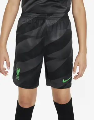 Nike Equipamento de guarda-redes Stadium Liverpool FC 2023/24