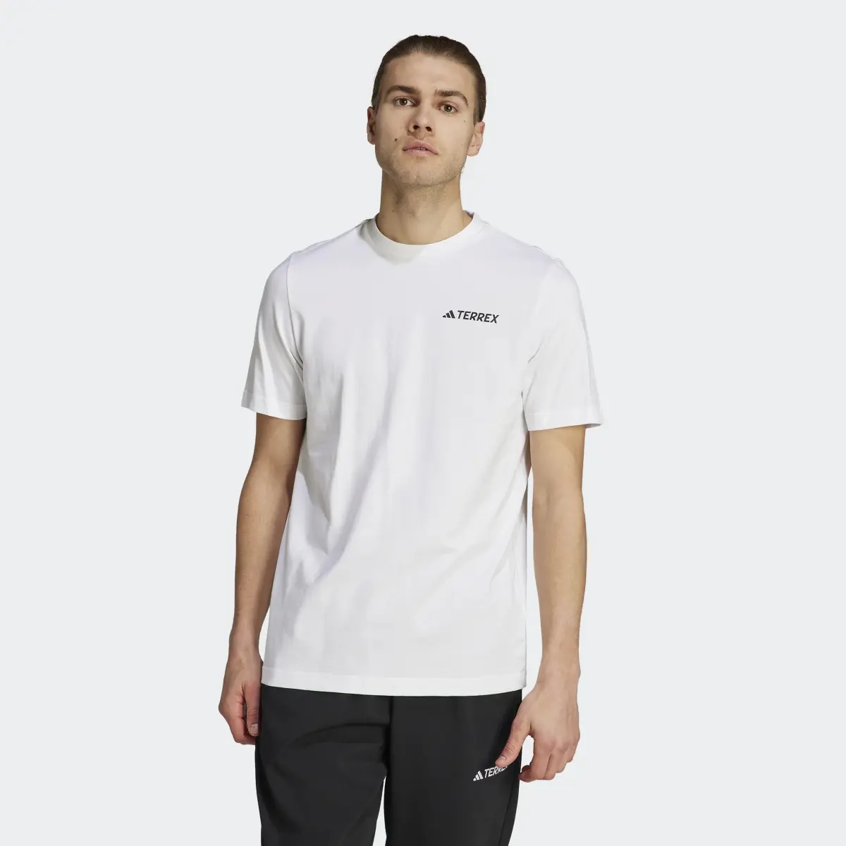 Adidas Terrex Graphic MTN 2.0 T-Shirt. 2