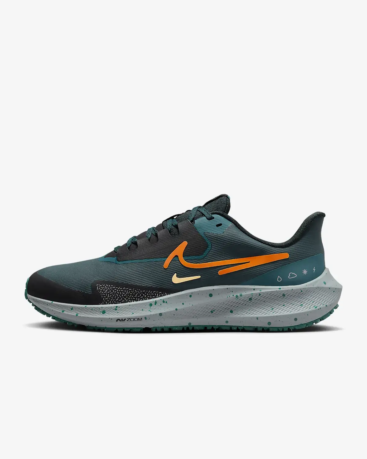 Nike Pegasus 39 Shield. 1