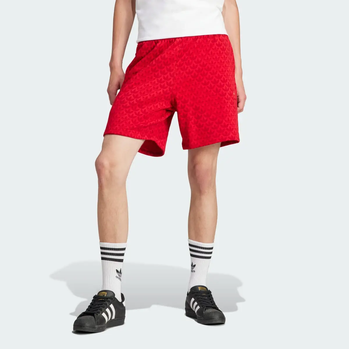 Adidas Graphics Monogram Shorts. 1