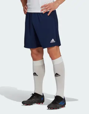 Adidas Entrada 22 Training Shorts