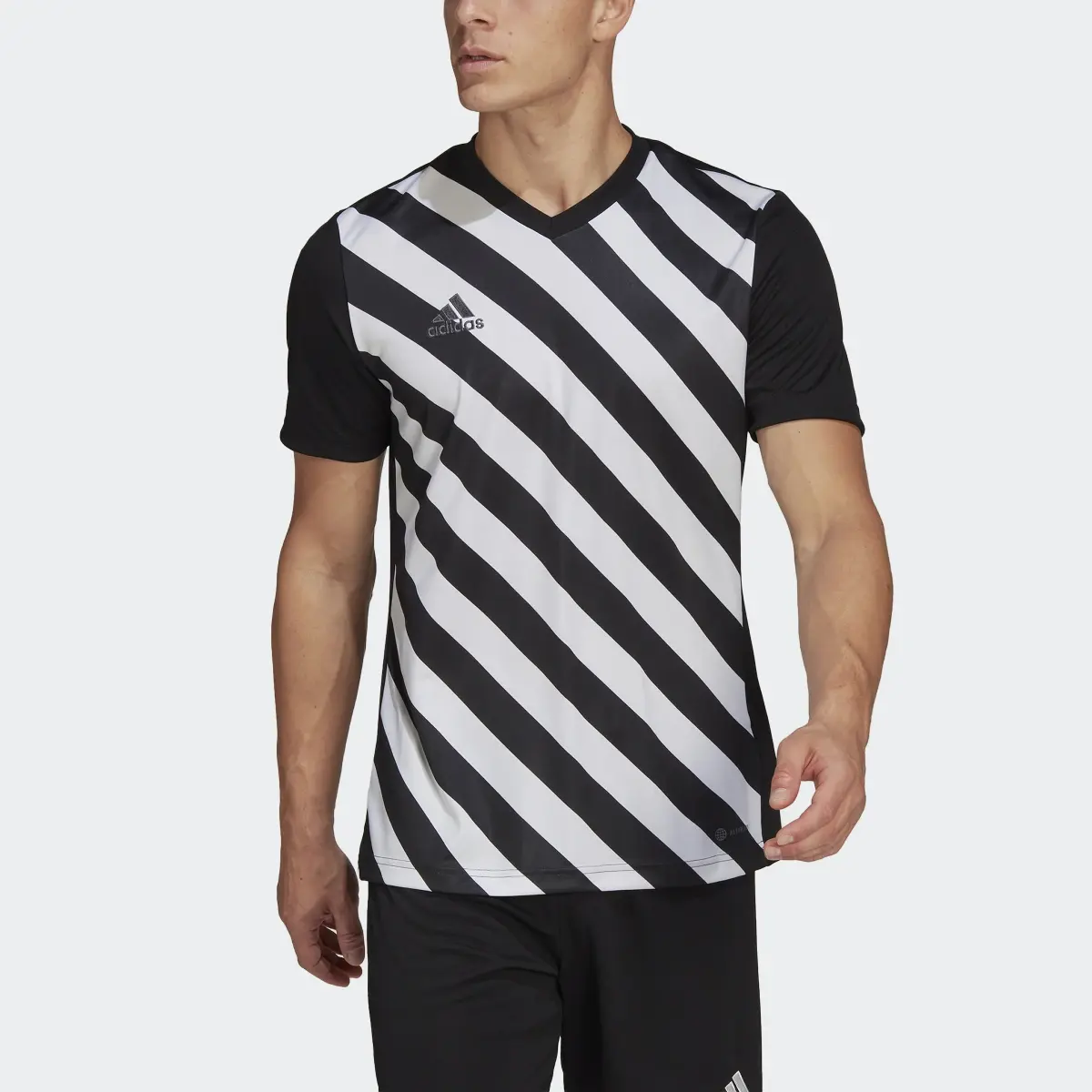 Adidas Maglia Entrada 22 Graphic. 1