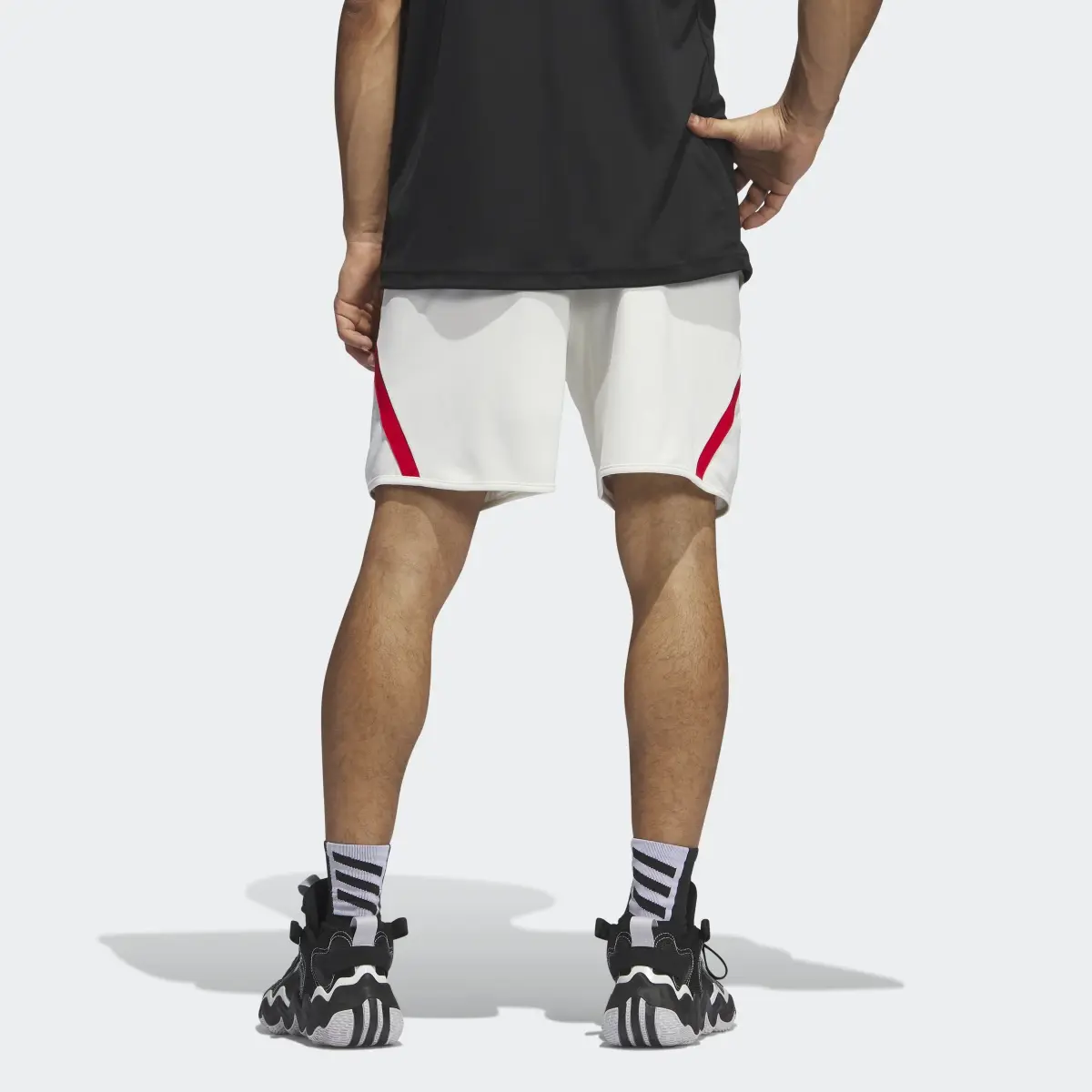 Adidas Shorts adidas Pro Block. 2