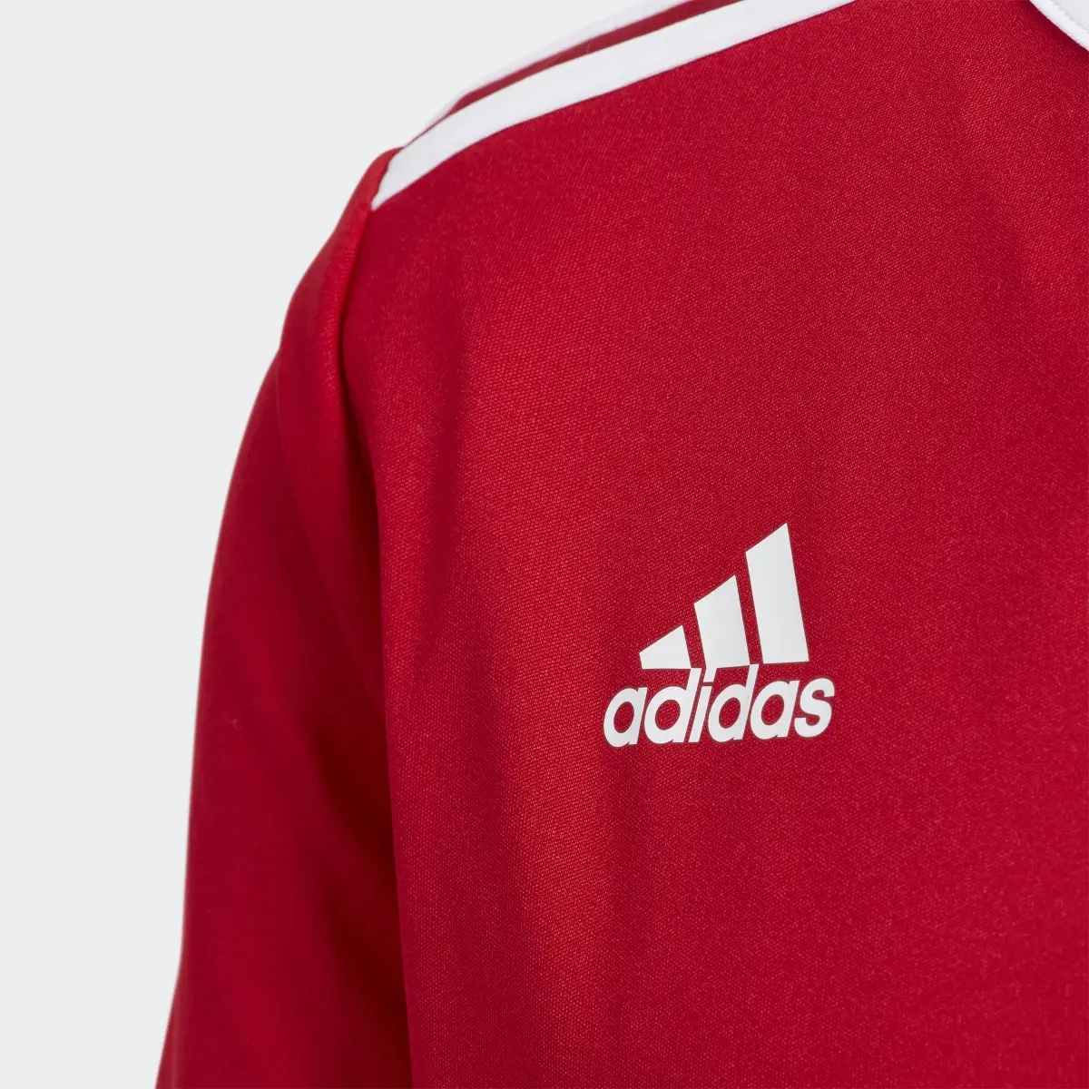 Adidas Entrada Jersey. 3