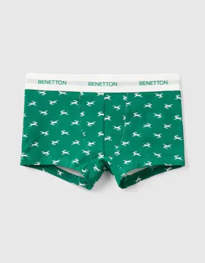 green boxers with reindeer print