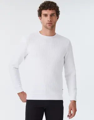 Regular Fit Erkek Sweatshirt