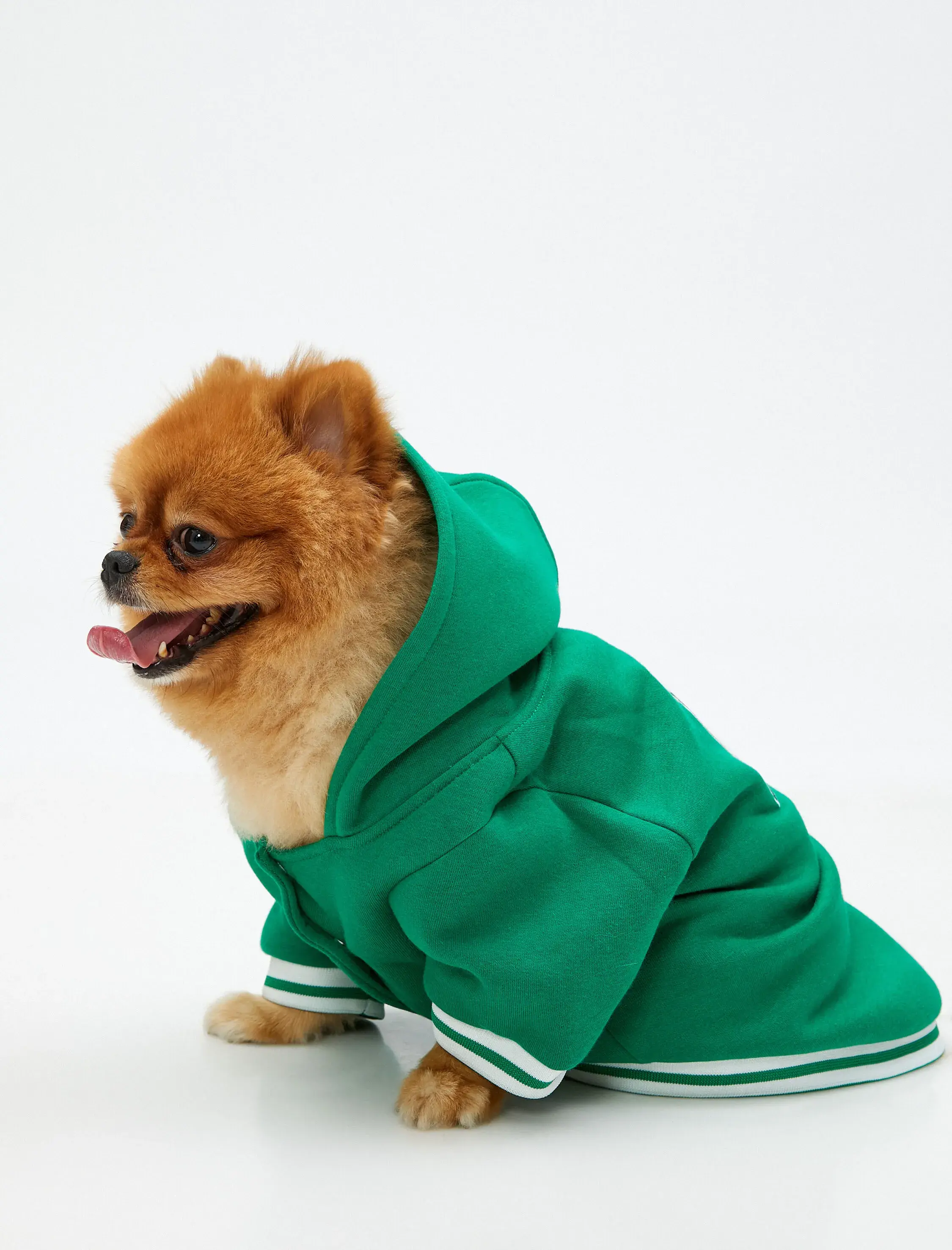 Koton Kapüşonlu Köpek Sweatshirt İşlemeli İçi Polarlı. 2