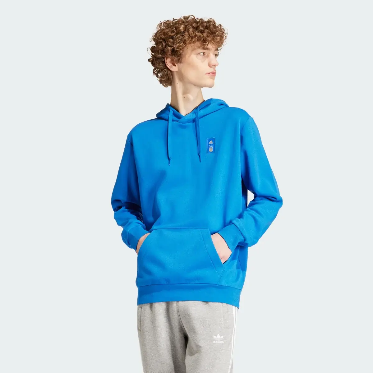 Adidas Italy DNA Hoodie. 2