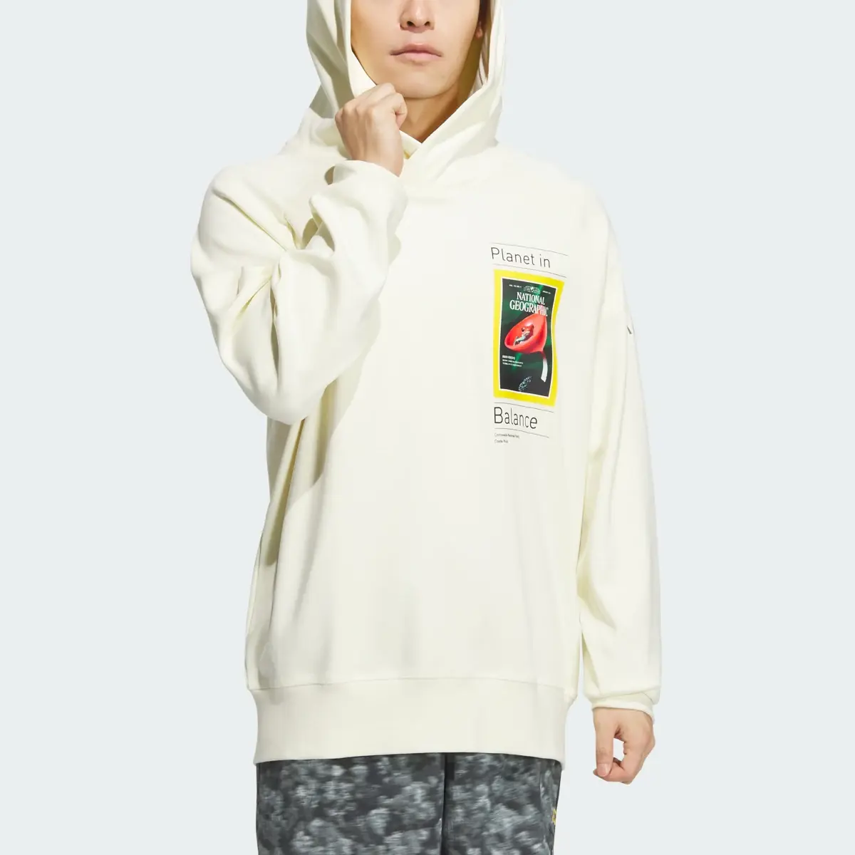 Adidas National Geographic DWR Graphic Hoodie. 1