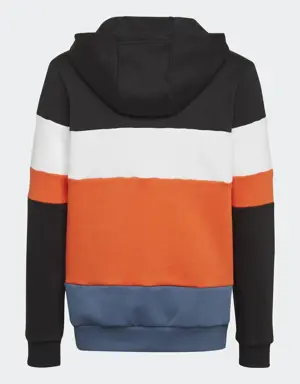 Colorblock Fleece Hoodie