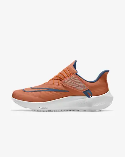 Nike Pegasus FlyEase By You. 1