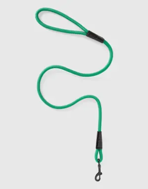 green dog leash