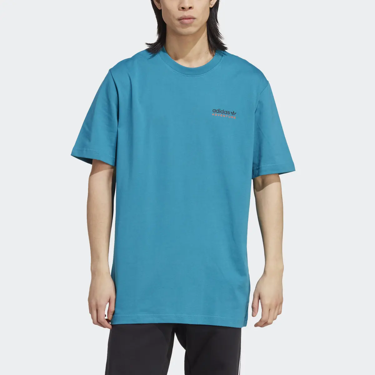 Adidas Adventure Mountain Back Tee. 1