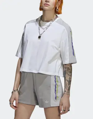 Adidas Blocked Graphic Crop T-Shirt