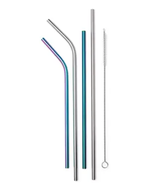 Stainless Straw Set with Cleaning Brush