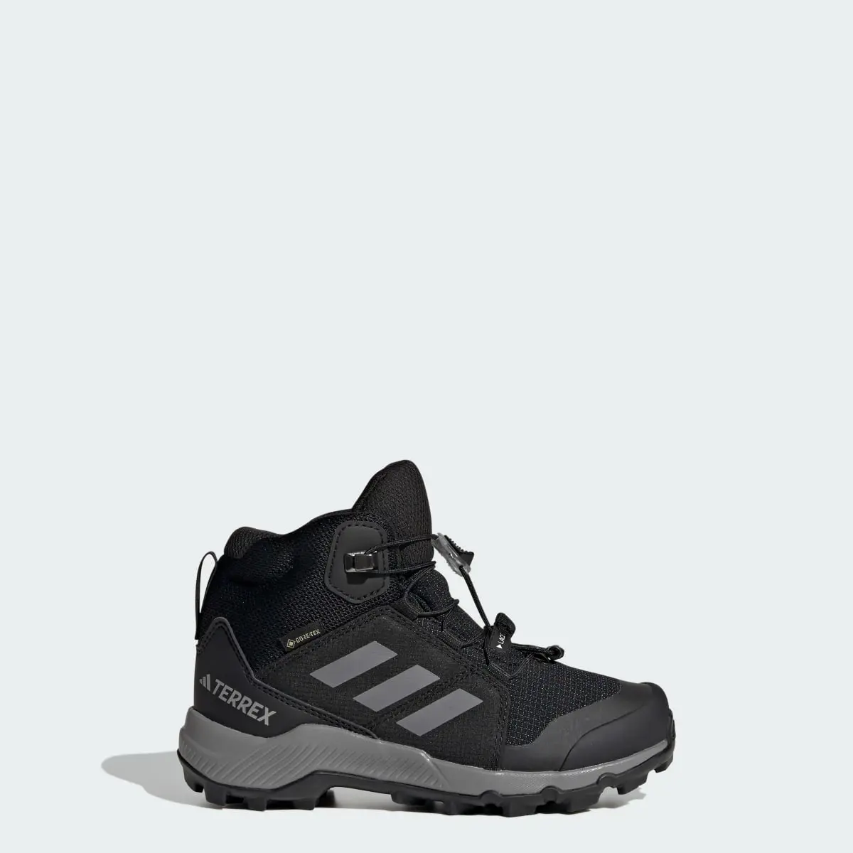 Adidas Terrex Mid GORE-TEX Hiking Shoes. 1