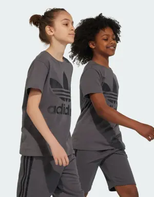 Adidas Adicolor Trefoil Tee