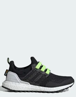 Ultraboost 1.0 Shoes