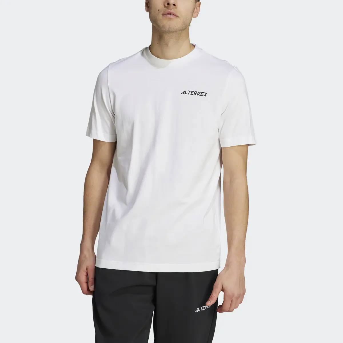 Adidas Camiseta Terrex Graphic MTN 2.0. 1