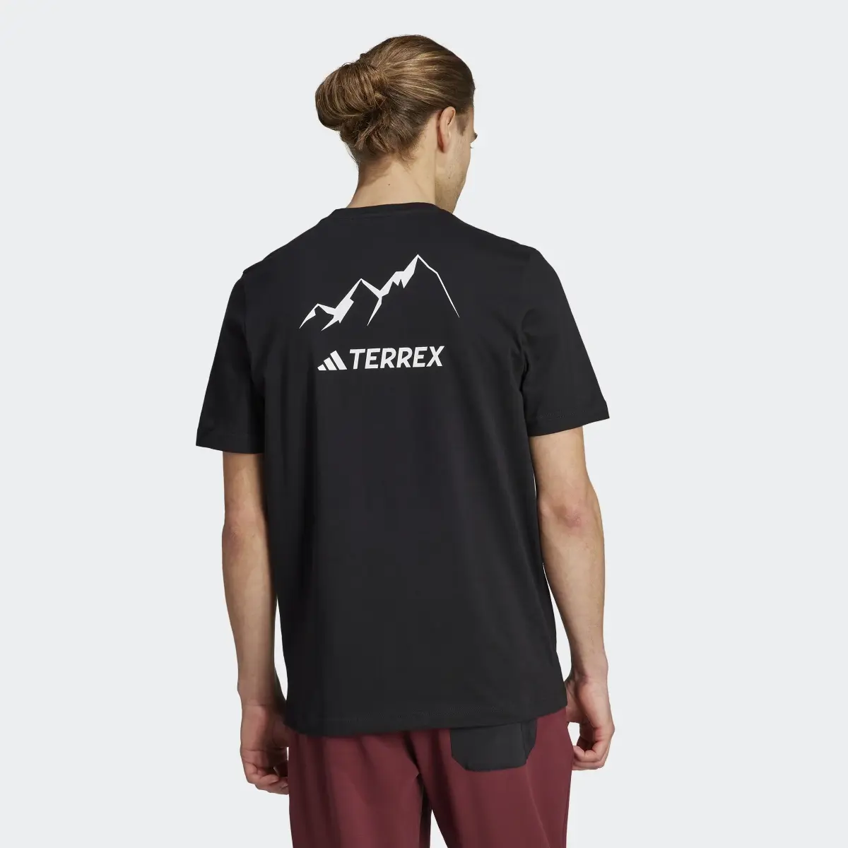 Adidas TERREX Graphic MTN 2.0 T-Shirt. 3