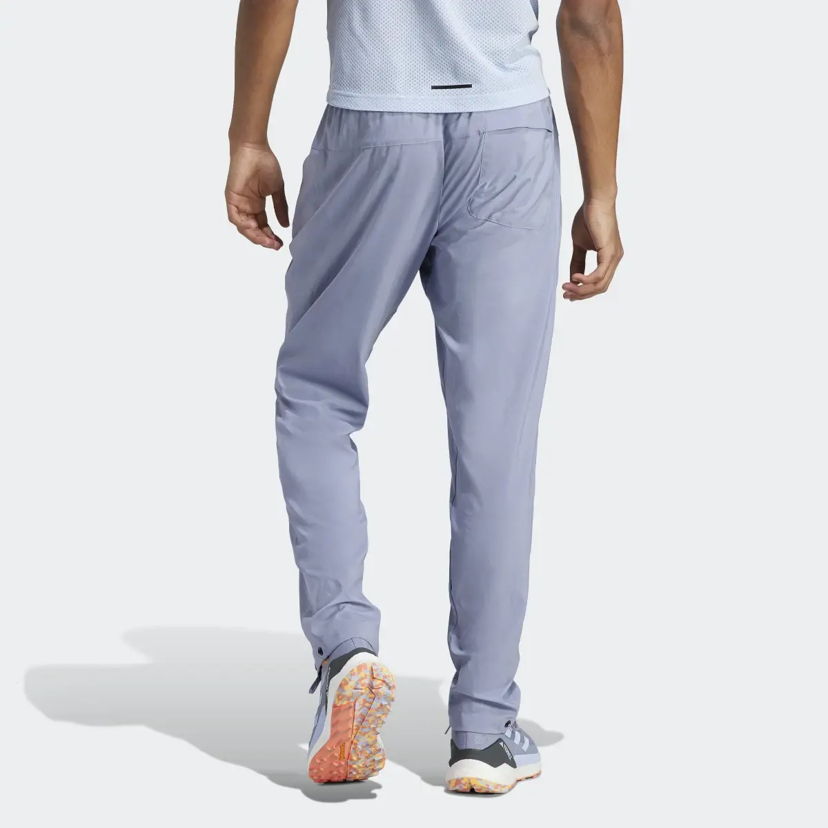 Adidas Terrex LiteFlex Pants. 2