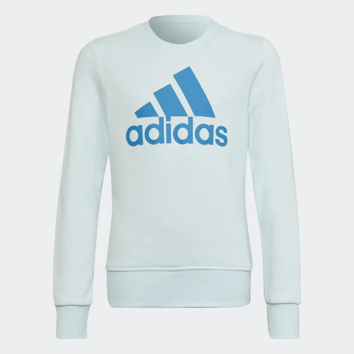 Adidas Essentials Sweatshirt. 1