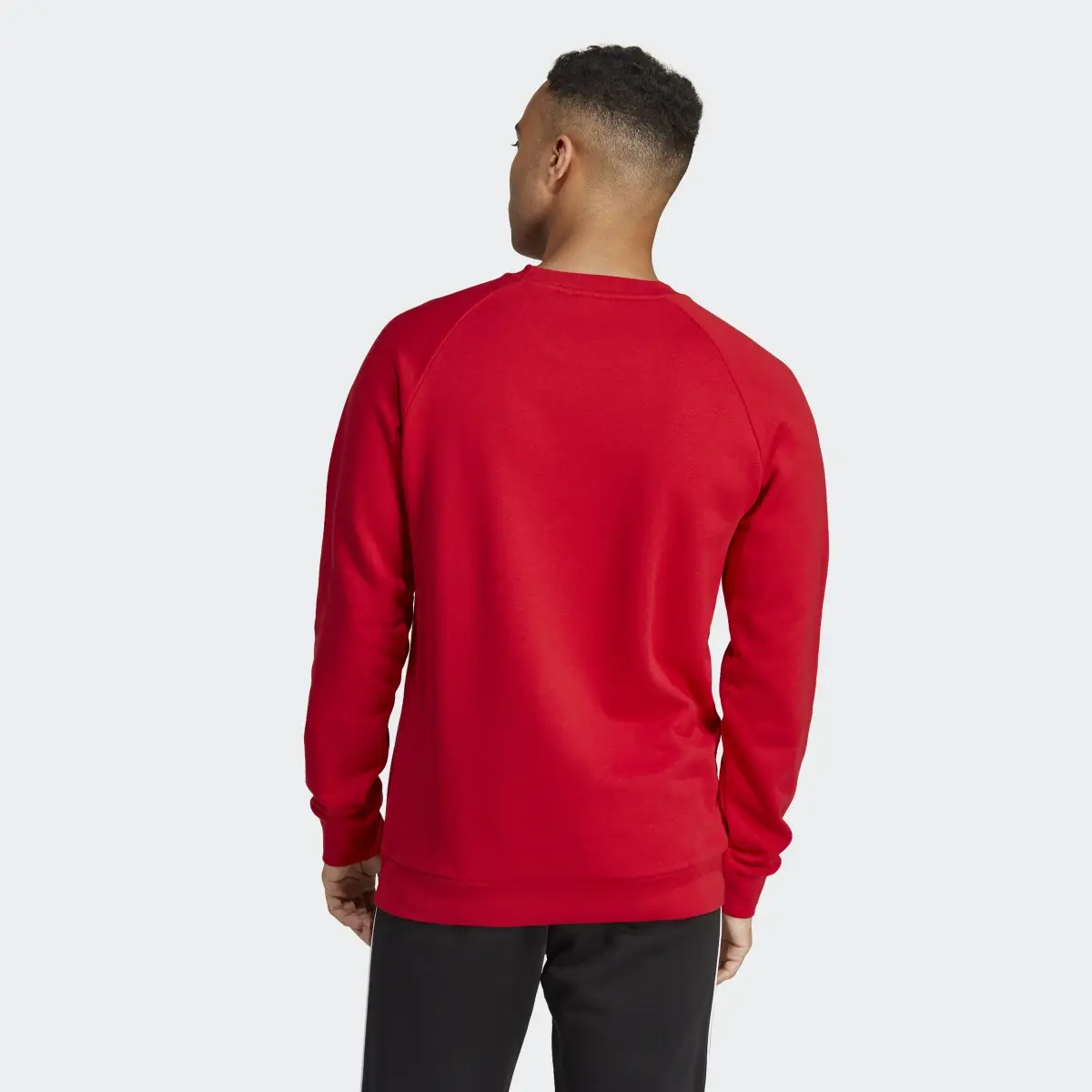 Adidas Adicolor Classics Trefoil Crewneck Sweatshirt. 3